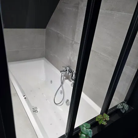 Apartment Le Moulin Duplex Proche Aeroport *